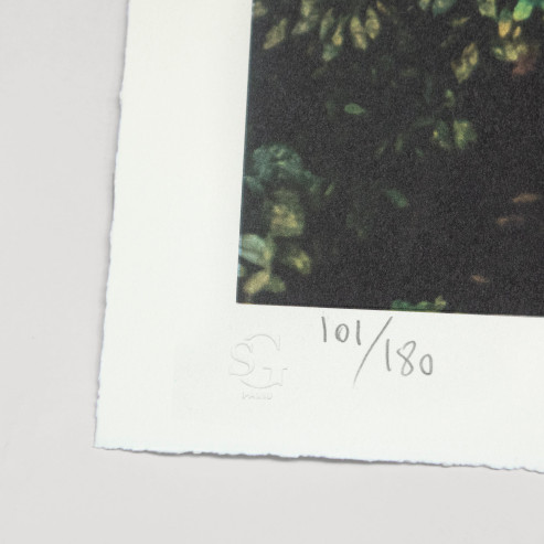 Finding hope night view, Paris, France, 2020 Finding hope night view, Paris, France, 2020