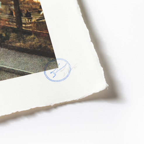 The Chronicles of New York City, Domino Park, USA, 2020