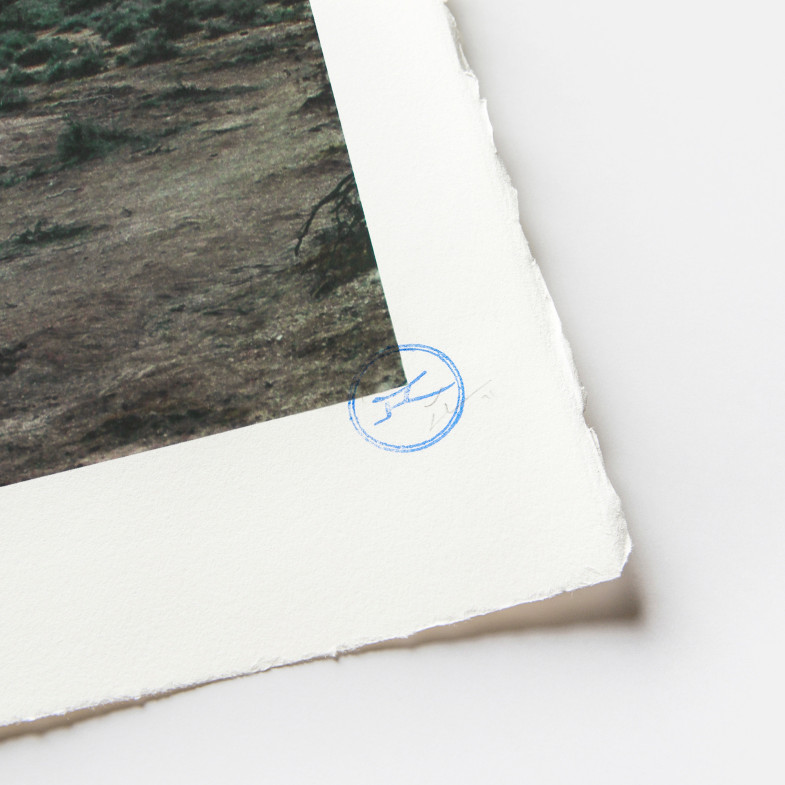 Trompe l'oeil Death Valley, Billboard, March 4, 2017, 5:41 pm, California, USA, 2017