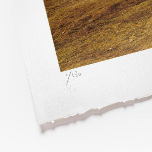 Trompe l'oeil, Greetings from Giza, 21 octobre 2021, 6h01, Giza, Egypte, 2021 Trompe l'oeil, Greetings from Giza, 21 octobre 2021, 6h01, Giza, Egypte, 2021