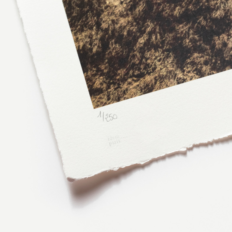 Migrants, Mayra, Picnic across the border, General View, Tecate.