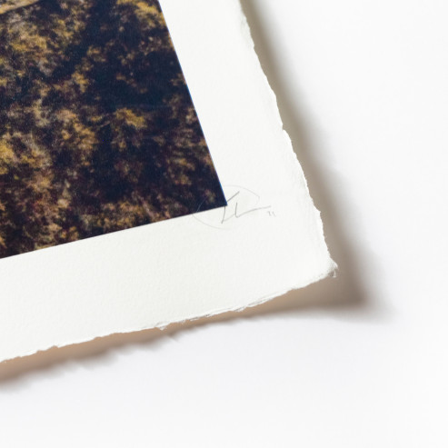 Migrants, Mayra, Picnic across the border, General View, Tecate.