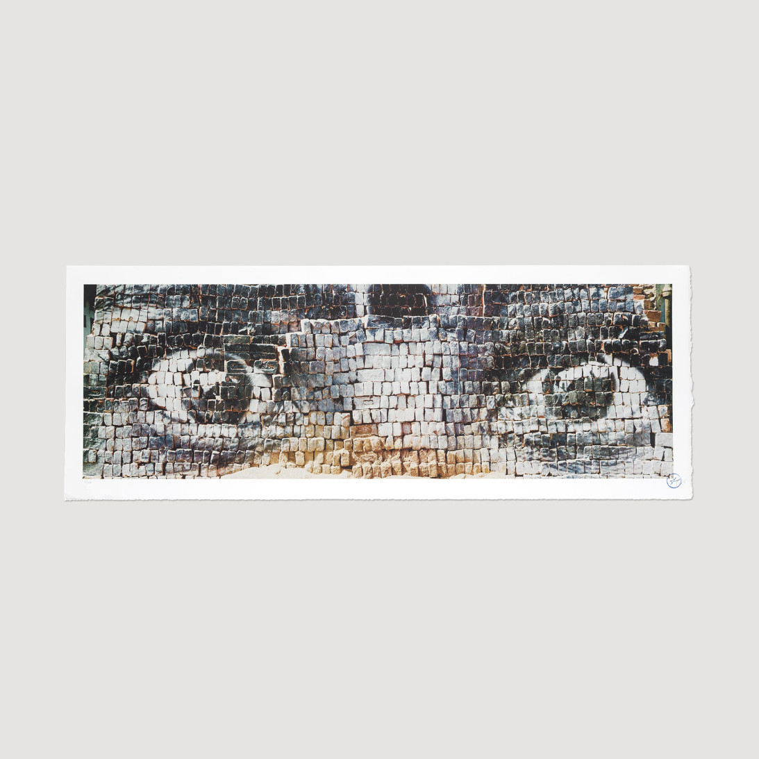 Eyes on bricks, New Delhi, Inde, 2009