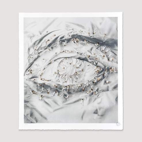 The Eye of the New York City Ballet, 2014