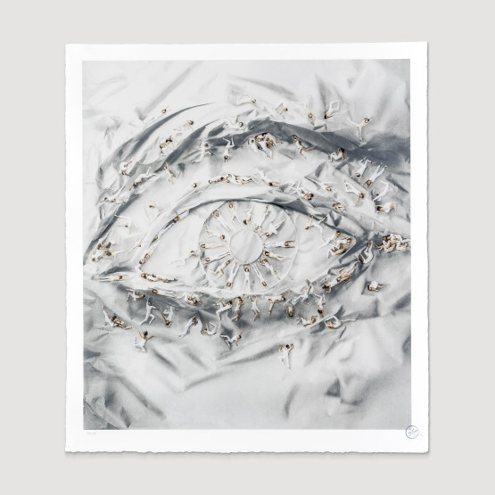 The Eye of the New York City Ballet, 2014