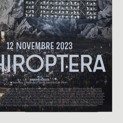 Chiroptera, Poster