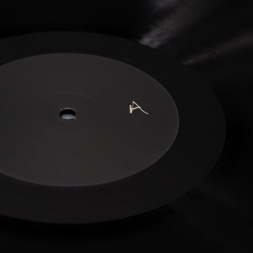 CHIROPTERA MATIERE PREMIERE