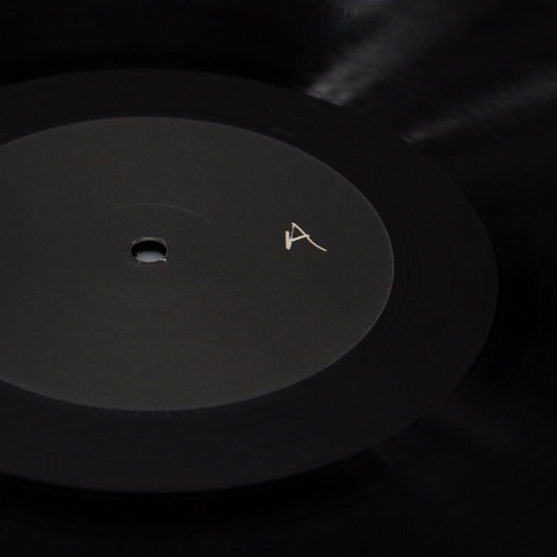 CHIROPTERA MATIERE PREMIERE