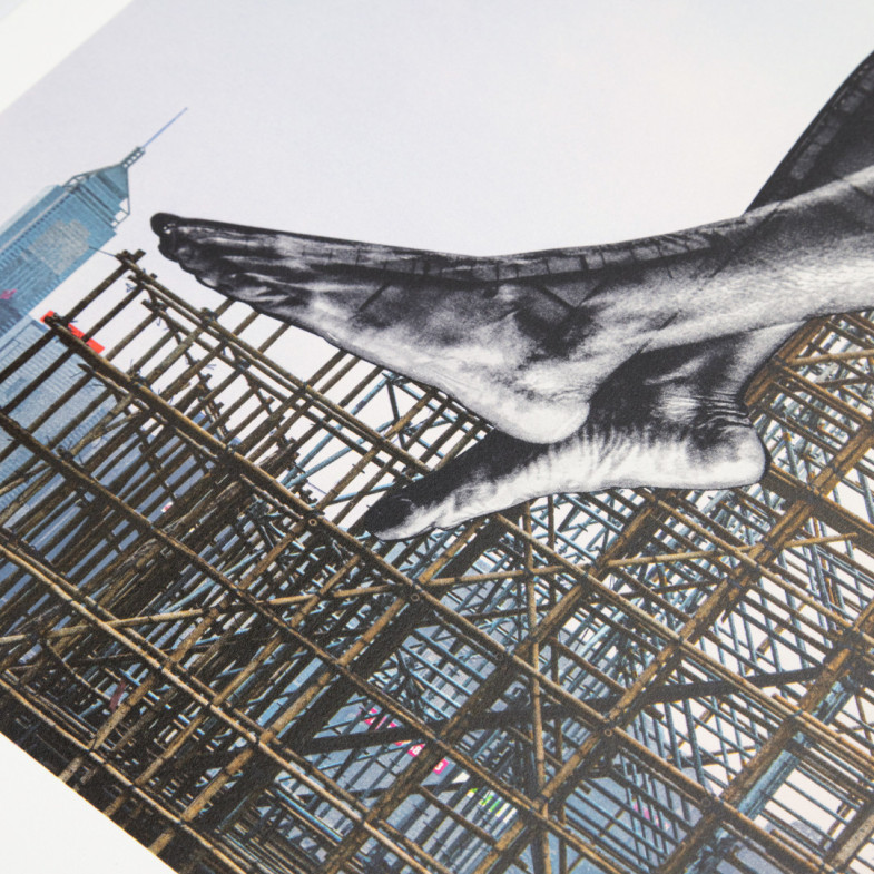 Giants, Rising Up, Hong kong, China, 2023 Giants, Rising Up, Hong kong, China, 2023