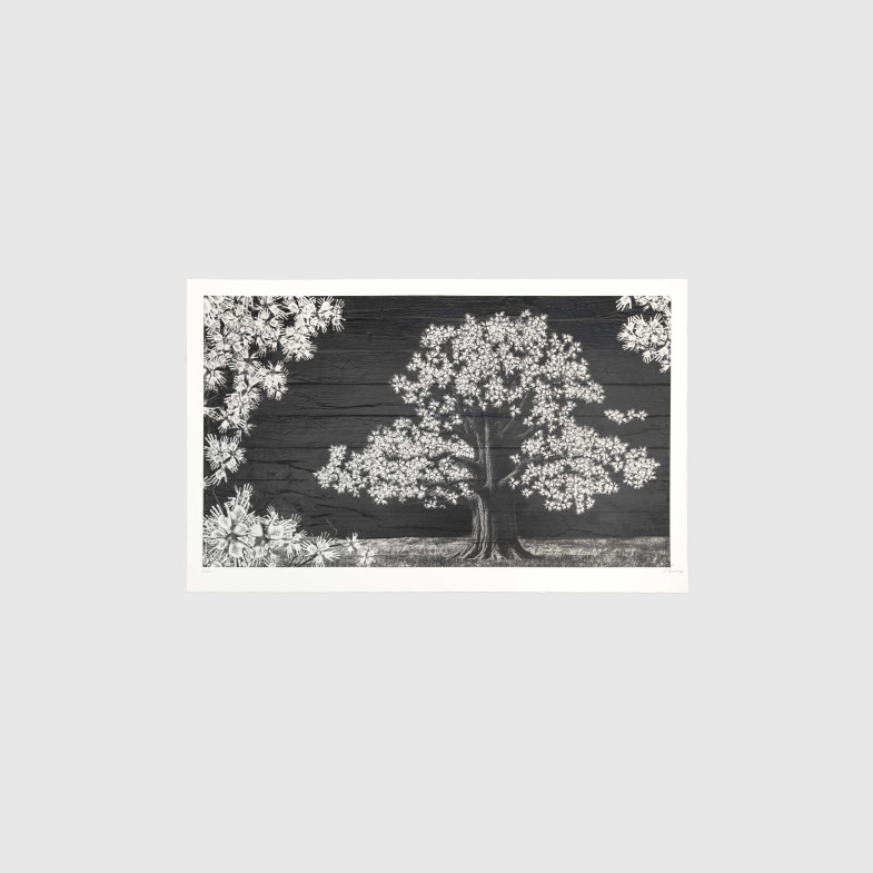 Adventice, Montpellier, France, 2025