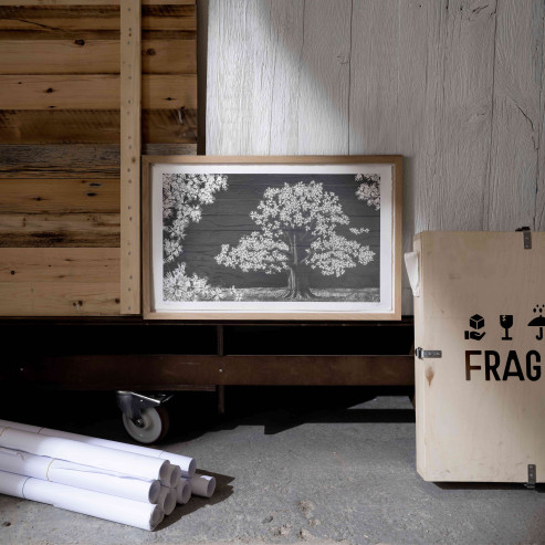 Adventice, Montpellier, France, 2025