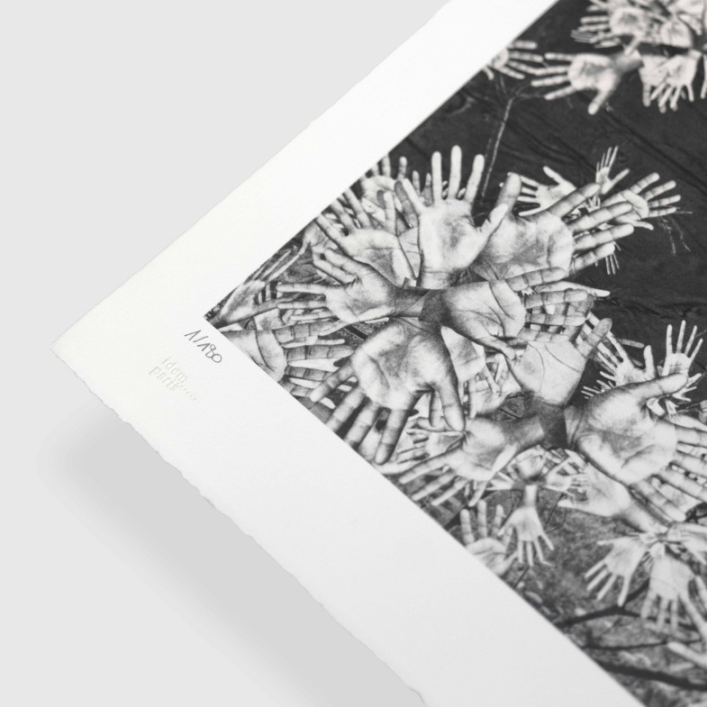 Adventice, Montpellier, France, 2025