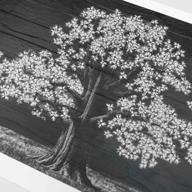 Adventice, Montpellier, France, 2025