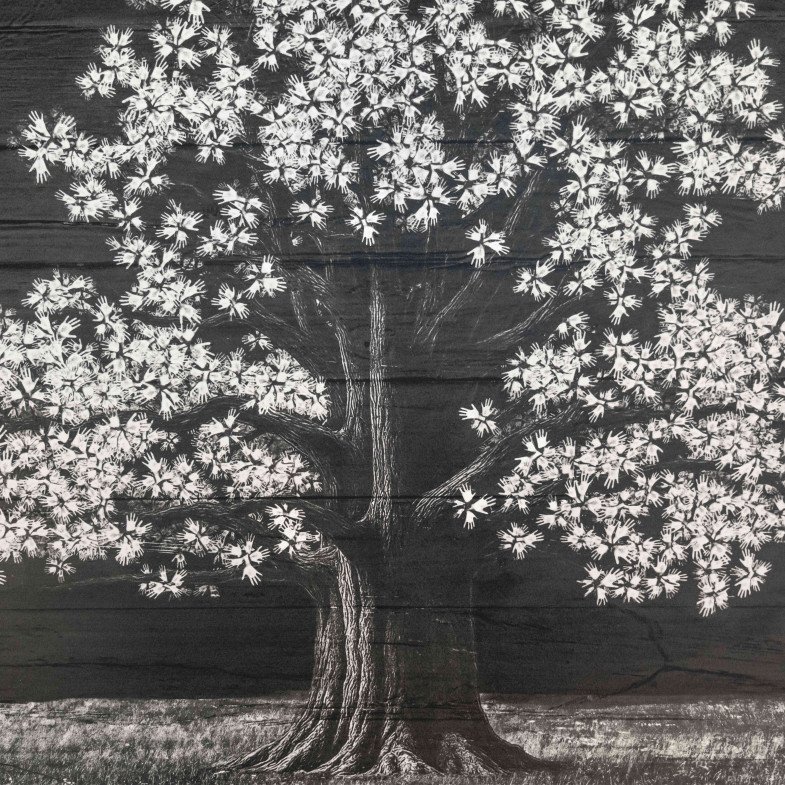 Adventice, Montpellier, France, 2025