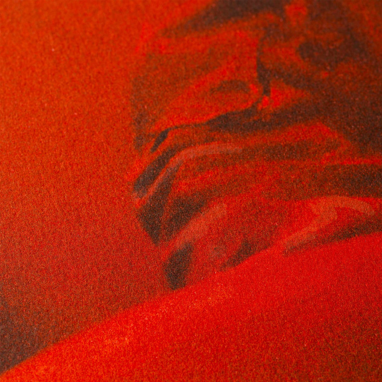 Liu Bolin Teatro alla Scala