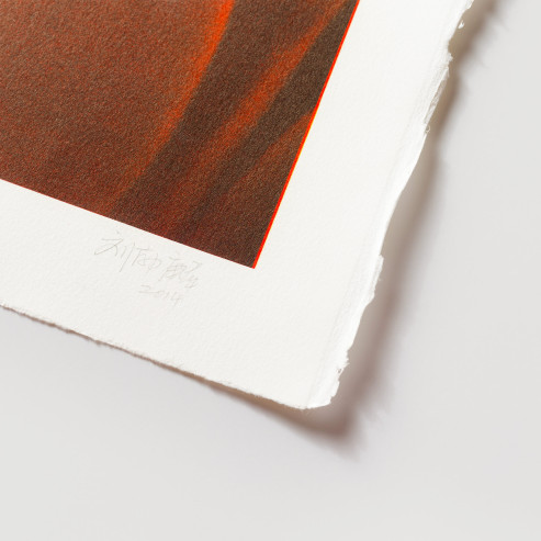 Liu Bolin Teatro alla Scala