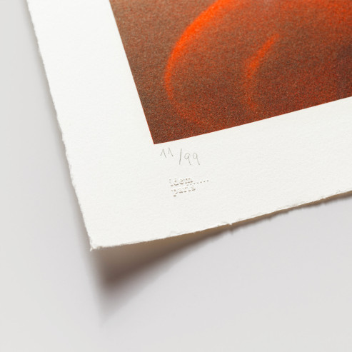 Liu Bolin Teatro alla Scala