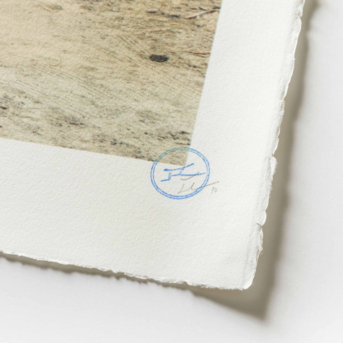 GIANTS Kikito and the Border Patrol, Tecate, Mexico - U.S.A., 2017