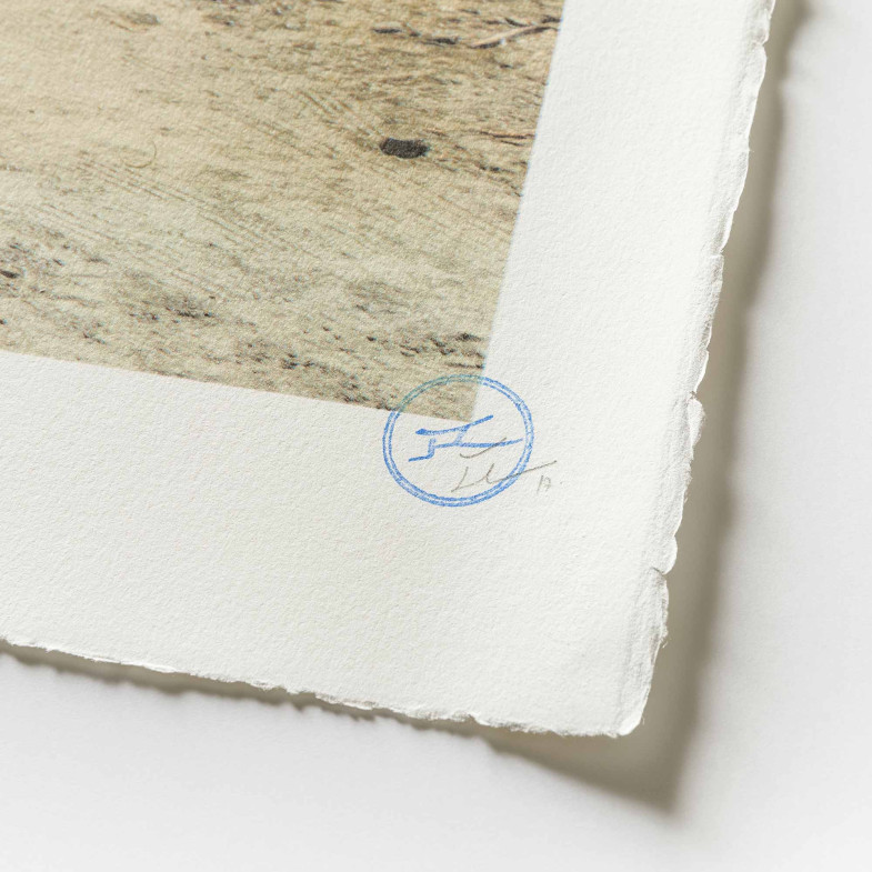 GIANTS Kikito and the Border Patrol, Tecate, Mexico - U.S.A., 2017