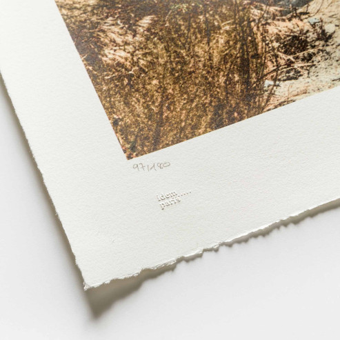 GIANTS Kikito and the Border Patrol, Tecate, Mexico - U.S.A., 2017