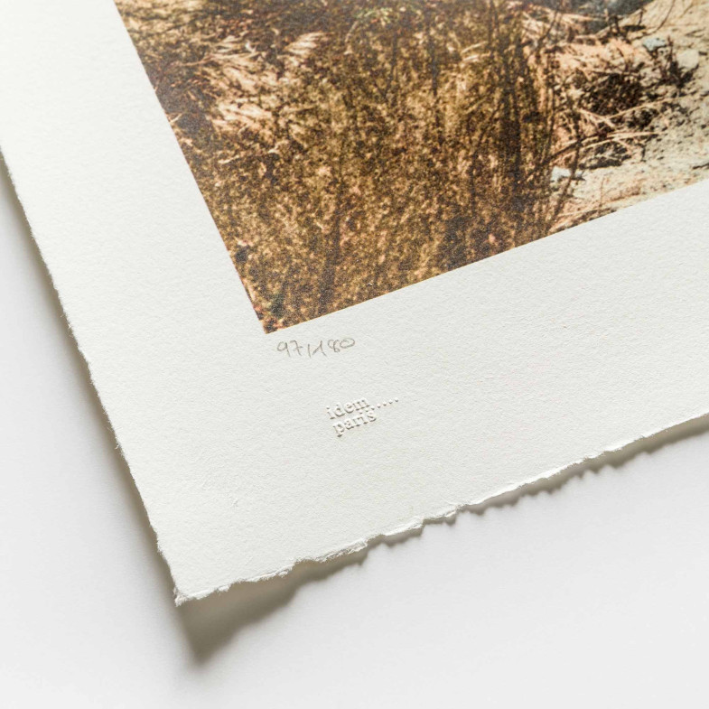 GIANTS Kikito and the Border Patrol, Tecate, Mexico - U.S.A., 2017