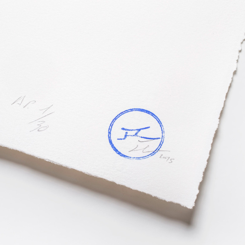 The Wrinkles of the City Los Angeles, Oeil froissé 3, 2011