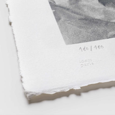 The Eye of the New York City Ballet, 2014