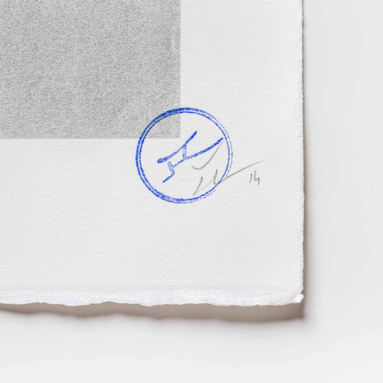 The Eye of the New York City Ballet, 2014